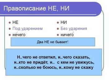 частица ни