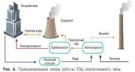 принцип работы тэс кратко