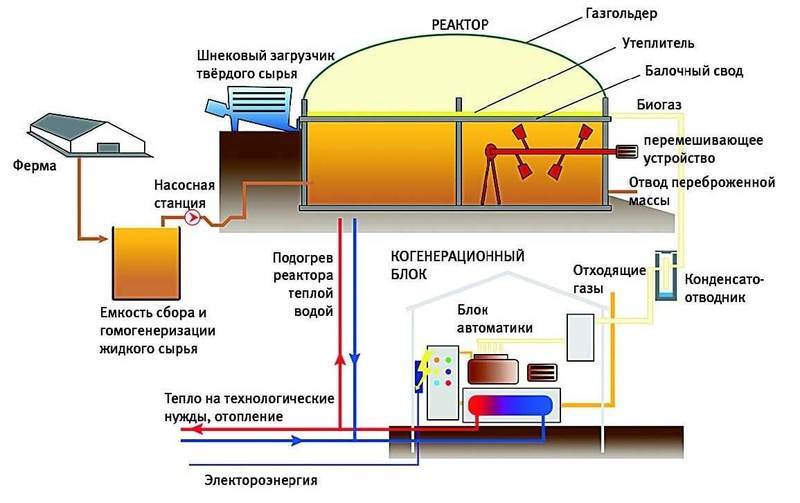 Чертеж установки для получения биогаза