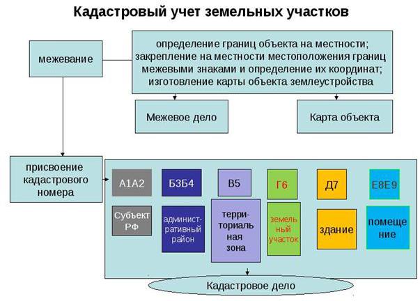 Получение кадастрового номера для земельных участков