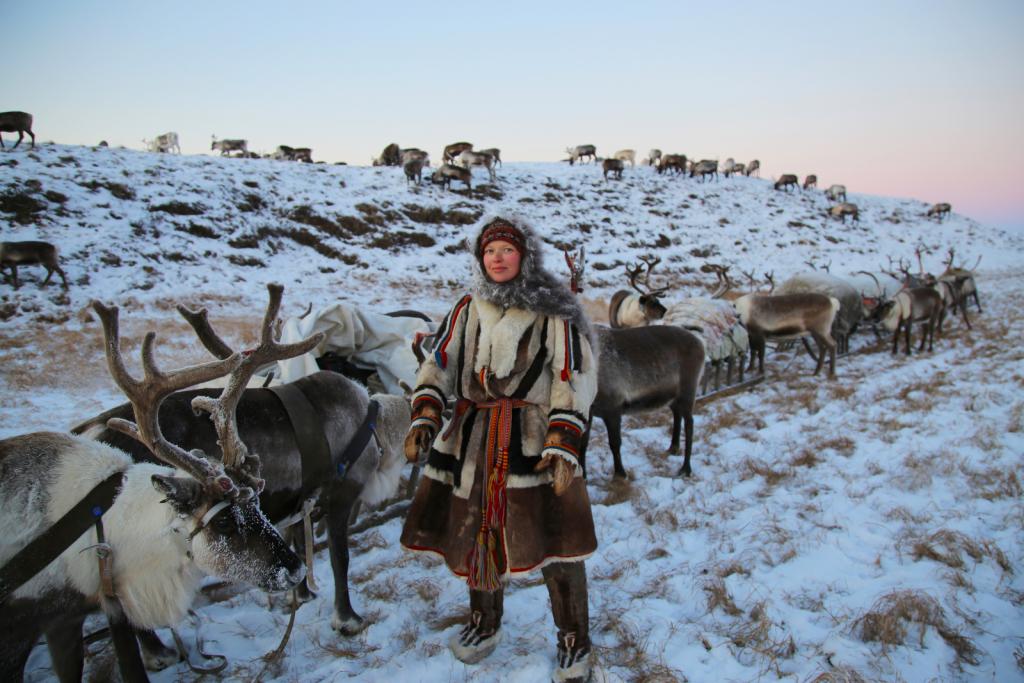 Чукчи и олени