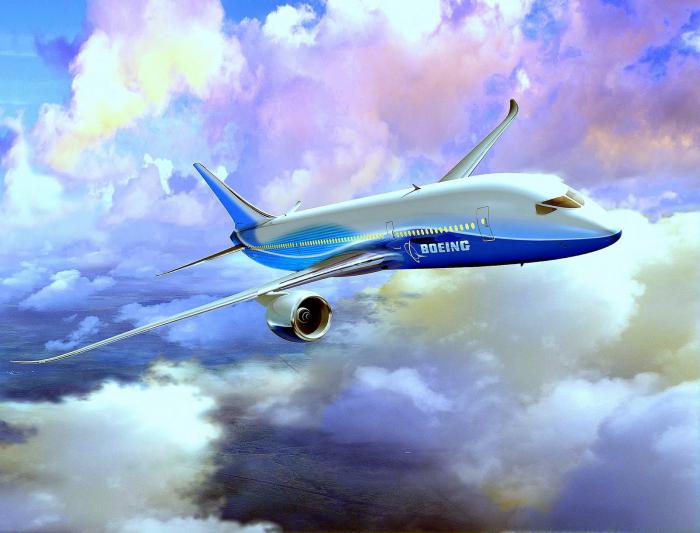 боинг 787 салон