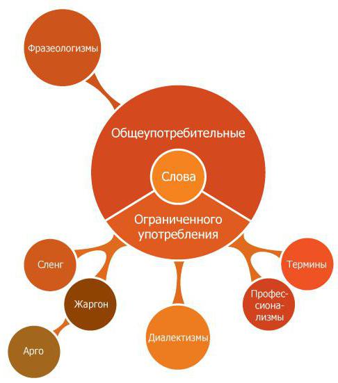 лексика ограниченной сферы употребления