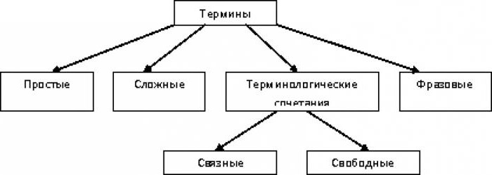 к лексике ограниченного употребления относятся