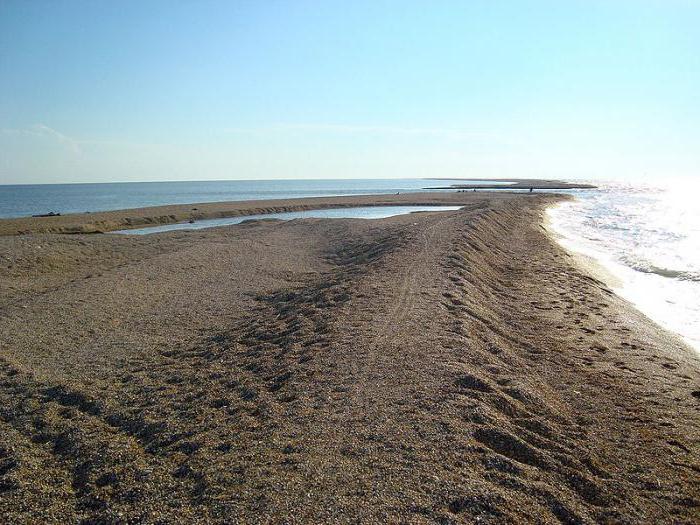 Должанская коса азовское море