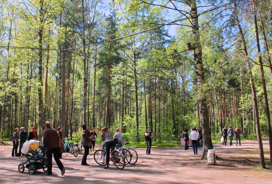 Пискаревский лесопарк