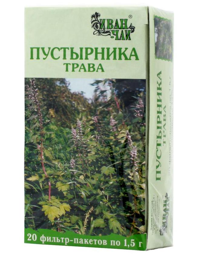 чай из пустырника