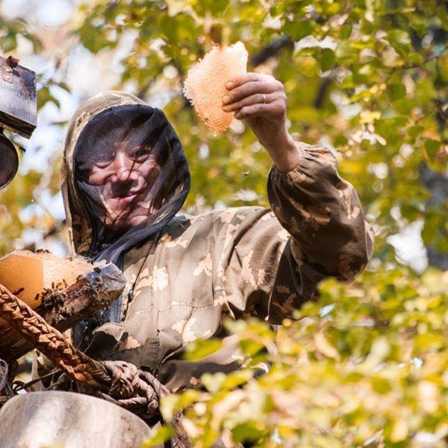 Свойства Башкирского меда