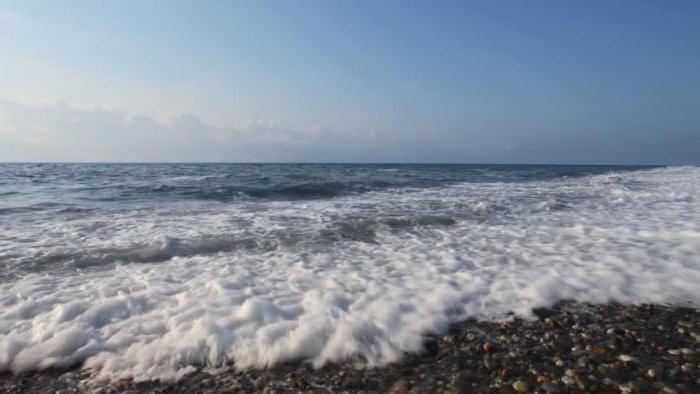 аллергия на соленую воду в море фото 