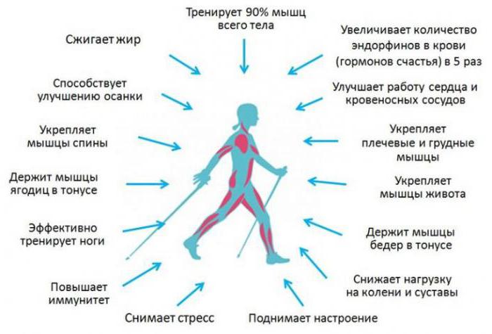 телескопическая палка