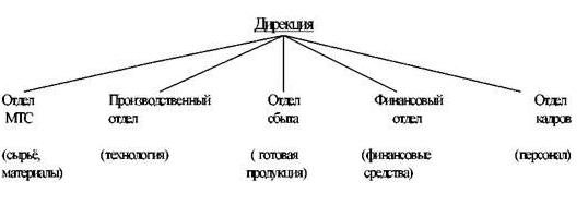 структура бизнеса 