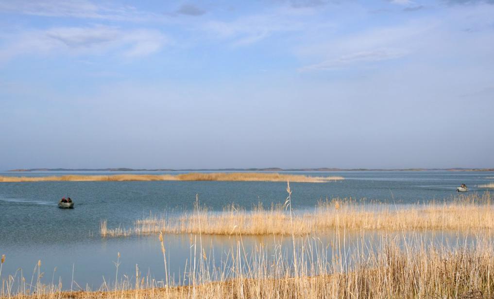 колтуки Айдаркуля