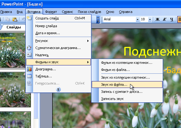 вставка в powerpoint 1