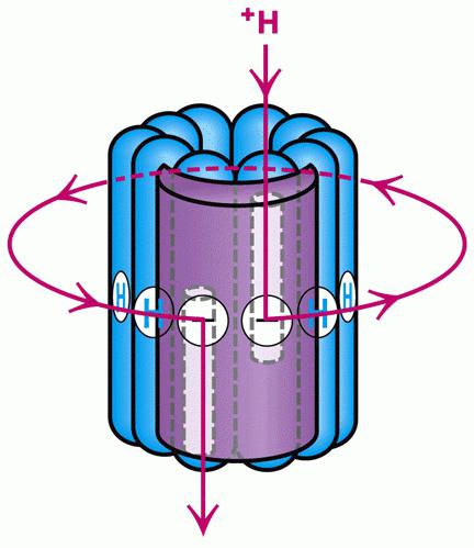 аденозинтрифосфорная кислота