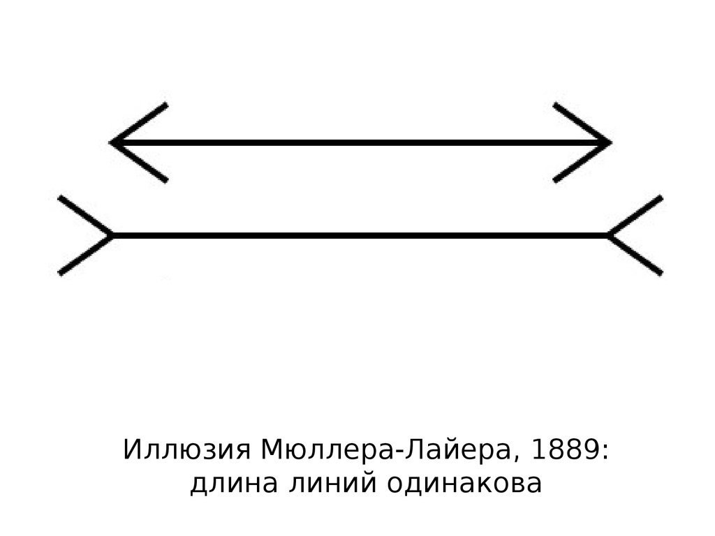 Иллюзия Мюллера-Лайера