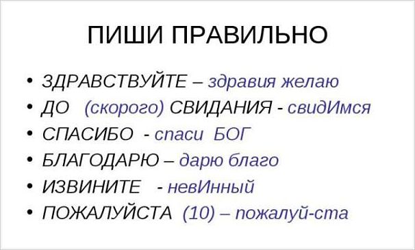 Пиши правильно: увидимся-свидимся