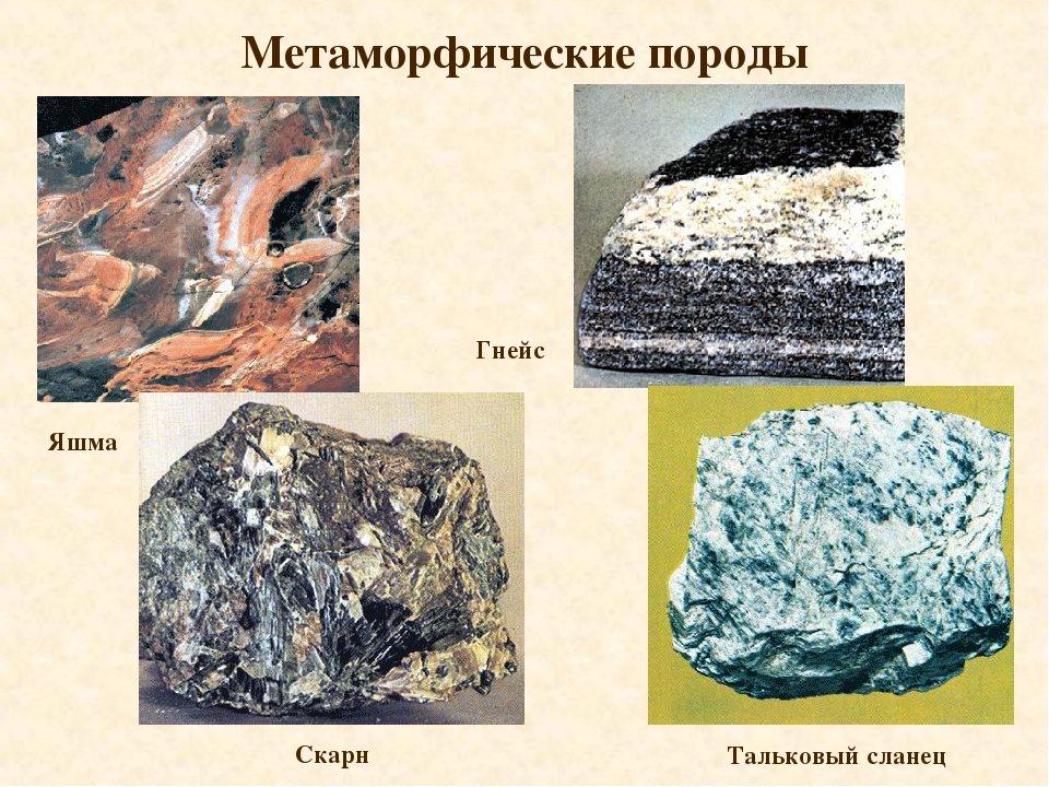 Метаморфические породы