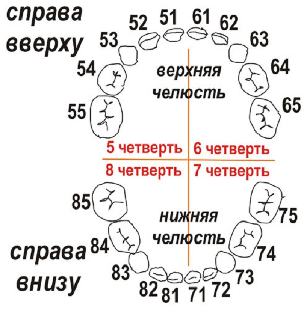 пародонтальный индекс pi