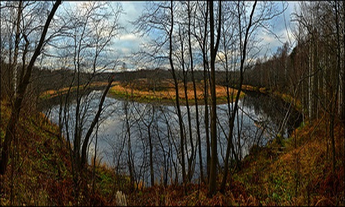 Пейзаж реки Мга