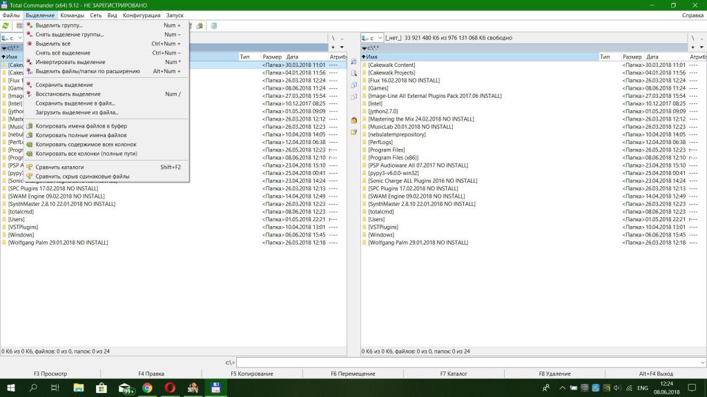 Интерфейс Total Commander 5