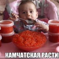 Николай Соколов