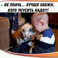 Виталий Столяров